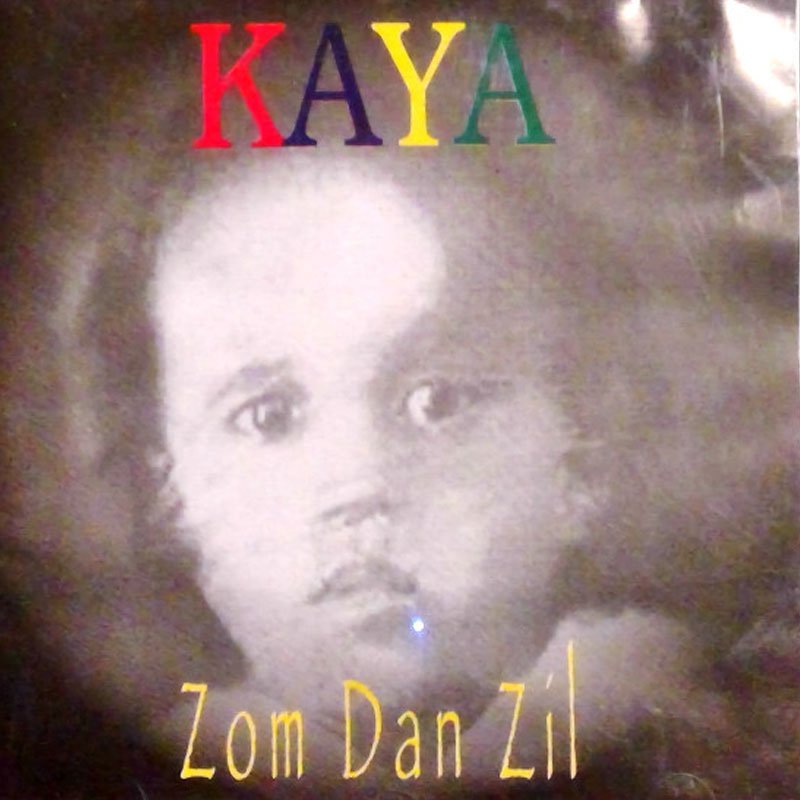 Zom Dan Zil